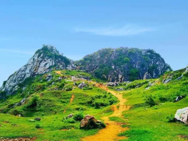 Giới Thiệu Chung về Núi Trầm